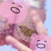 ヒメ日記 2025/12/26 12:03 投稿 星月にいな サクラ（すすきの）