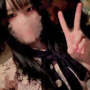 ヒメ日記 2026/02/06 18:03 投稿 星月にいな サクラ（すすきの）