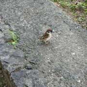 ヒメ日記 2025/10/22 22:22 投稿 りいさ プラチナ