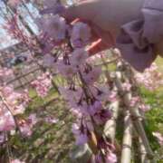 ヒメ日記 2025/04/18 22:18 投稿 にこ ルージュ(会津若松)