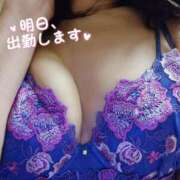 ヒメ日記 2024/12/28 15:08 投稿 鈴美 萌 名古屋貴楼館