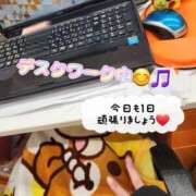 ヒメ日記 2025/03/13 14:18 投稿 鈴美 萌 名古屋貴楼館