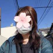 ヒメ日記 2025/04/04 12:28 投稿 鈴美 萌 名古屋貴楼館