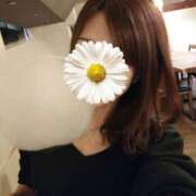 ヒメ日記 2025/04/04 15:08 投稿 鈴美 萌 名古屋貴楼館