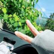 ヒメ日記 2025/06/07 10:09 投稿 鈴美 萌 名古屋貴楼館