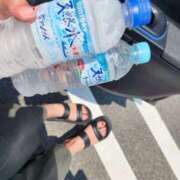 ヒメ日記 2025/06/30 15:18 投稿 鈴美 萌 名古屋貴楼館