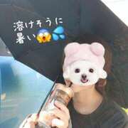 ヒメ日記 2025/07/22 15:38 投稿 鈴美 萌 名古屋貴楼館