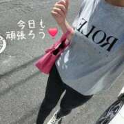 ヒメ日記 2025/09/22 12:18 投稿 鈴美 萌 名古屋貴楼館