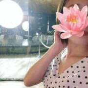 ヒメ日記 2025/10/11 09:38 投稿 鈴美 萌 名古屋貴楼館