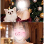 ヒメ日記 2025/12/13 13:53 投稿 にこ Queen Angel(クイーンエンジェル)