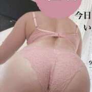 ヒメ日記 2024/11/20 12:50 投稿 紅羽【くれは】 丸妻 西船橋店