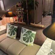 ヒメ日記 2024/12/08 22:15 投稿 紅羽【くれは】 丸妻 西船橋店