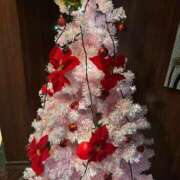 ヒメ日記 2024/12/13 21:05 投稿 紅羽【くれは】 丸妻 西船橋店