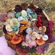 ヒメ日記 2024/12/18 14:31 投稿 紅羽【くれは】 丸妻 西船橋店