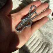 ヒメ日記 2024/12/22 14:52 投稿 紅羽【くれは】 丸妻 西船橋店