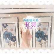 ヒメ日記 2025/01/11 20:31 投稿 紅羽【くれは】 丸妻 西船橋店
