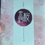 ヒメ日記 2025/02/27 13:43 投稿 紅羽【くれは】 丸妻 西船橋店