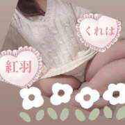 ヒメ日記 2025/03/01 09:26 投稿 紅羽【くれは】 丸妻 西船橋店