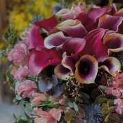 ヒメ日記 2025/03/01 23:56 投稿 紅羽【くれは】 丸妻 西船橋店