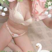 ヒメ日記 2025/03/05 11:37 投稿 紅羽【くれは】 丸妻 西船橋店