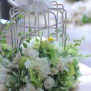 ヒメ日記 2025/03/31 06:37 投稿 紅羽【くれは】 丸妻 西船橋店