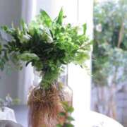 ヒメ日記 2025/04/02 14:07 投稿 紅羽【くれは】 丸妻 西船橋店