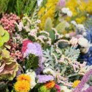 ヒメ日記 2025/04/04 18:18 投稿 紅羽【くれは】 丸妻 西船橋店