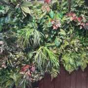 ヒメ日記 2025/04/08 22:10 投稿 紅羽【くれは】 丸妻 西船橋店