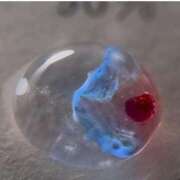 ヒメ日記 2025/04/13 13:15 投稿 紅羽【くれは】 丸妻 西船橋店