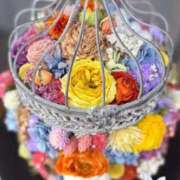 ヒメ日記 2025/04/18 16:19 投稿 紅羽【くれは】 丸妻 西船橋店