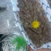 ヒメ日記 2025/04/21 18:32 投稿 紅羽【くれは】 丸妻 西船橋店