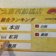 ヒメ日記 2025/04/26 23:12 投稿 紅羽【くれは】 丸妻 西船橋店