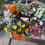 ヒメ日記 2025/04/29 20:56 投稿 紅羽【くれは】 丸妻 西船橋店