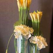 ヒメ日記 2025/05/06 07:15 投稿 紅羽【くれは】 丸妻 西船橋店