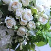 ヒメ日記 2025/05/13 06:20 投稿 紅羽【くれは】 丸妻 西船橋店