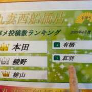 ヒメ日記 2025/05/17 21:02 投稿 紅羽【くれは】 丸妻 西船橋店