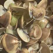 ヒメ日記 2025/05/20 07:45 投稿 紅羽【くれは】 丸妻 西船橋店