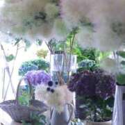 ヒメ日記 2025/06/08 13:26 投稿 紅羽【くれは】 丸妻 西船橋店