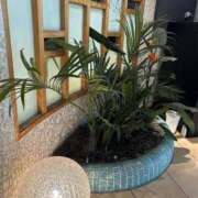 ヒメ日記 2025/06/10 17:29 投稿 紅羽【くれは】 丸妻 西船橋店