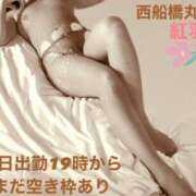ヒメ日記 2025/06/11 05:56 投稿 紅羽【くれは】 丸妻 西船橋店