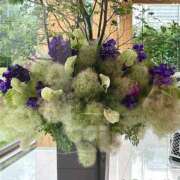 ヒメ日記 2025/06/14 06:37 投稿 紅羽【くれは】 丸妻 西船橋店