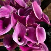 ヒメ日記 2025/06/18 12:08 投稿 紅羽【くれは】 丸妻 西船橋店