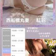 ヒメ日記 2025/06/21 15:25 投稿 紅羽【くれは】 丸妻 西船橋店