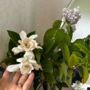 ヒメ日記 2025/06/23 09:13 投稿 紅羽【くれは】 丸妻 西船橋店