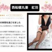ヒメ日記 2025/06/23 10:32 投稿 紅羽【くれは】 丸妻 西船橋店