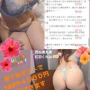 ヒメ日記 2025/06/23 12:33 投稿 紅羽【くれは】 丸妻 西船橋店