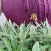 ヒメ日記 2025/06/24 10:50 投稿 紅羽【くれは】 丸妻 西船橋店