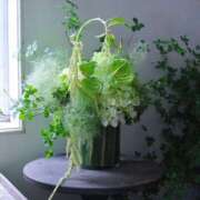 ヒメ日記 2025/06/26 06:21 投稿 紅羽【くれは】 丸妻 西船橋店