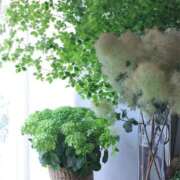 ヒメ日記 2025/07/01 23:44 投稿 紅羽【くれは】 丸妻 西船橋店