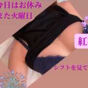 ヒメ日記 2025/07/04 06:48 投稿 紅羽【くれは】 丸妻 西船橋店